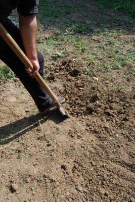 Fost primar, condamnat la muncă în folosul comunităţii 